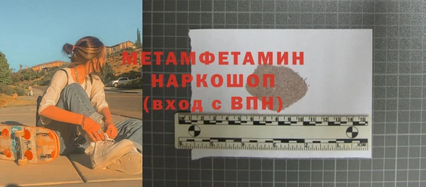 прущие грибы Верея