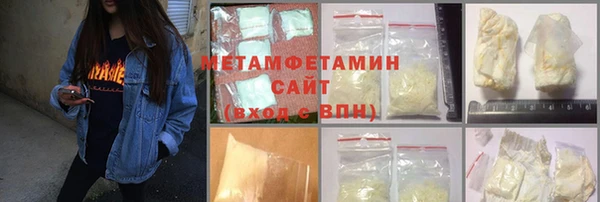 прущие грибы Верея