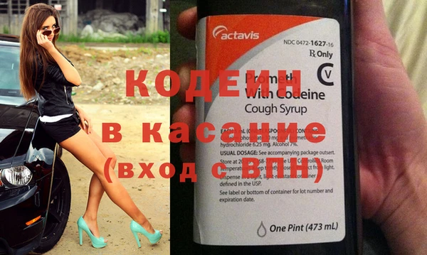 прущие грибы Верея