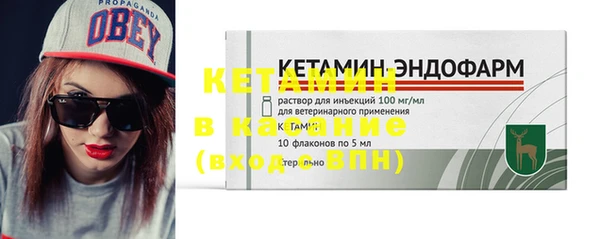 прущие грибы Верея