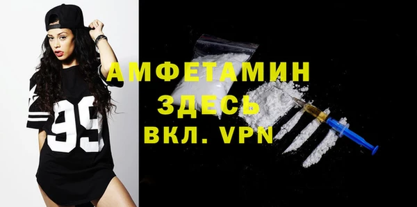 прущие грибы Верея