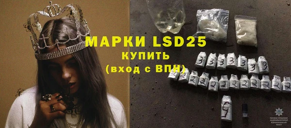 прущие грибы Верея