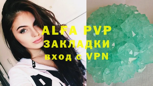 прущие грибы Верея